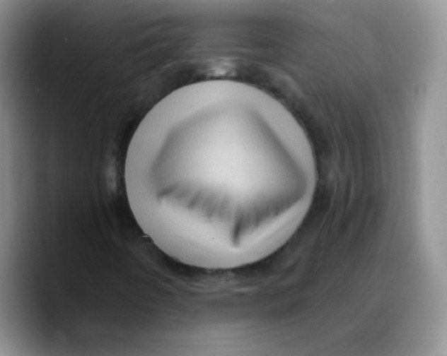 X0000089701442200707201731