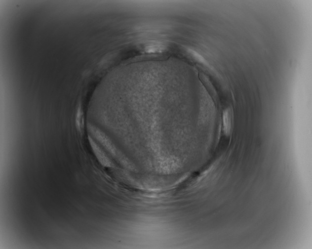 X0000089701443200707201731