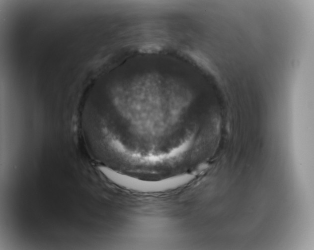 X0000089701445200707201731