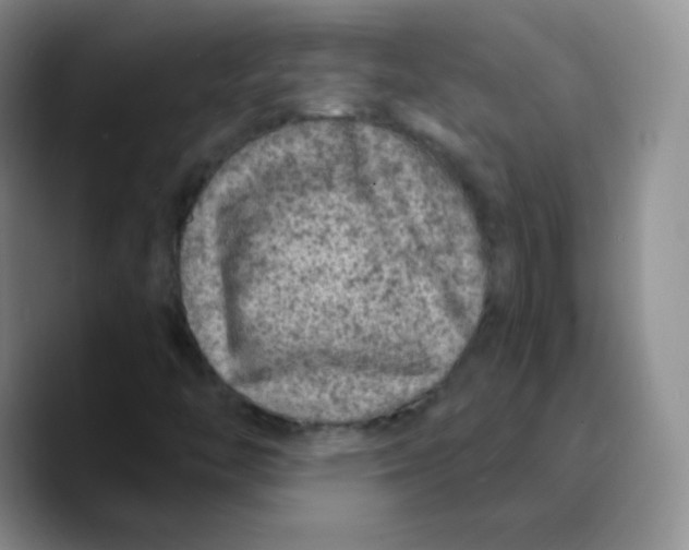 X0000089701446200707201731