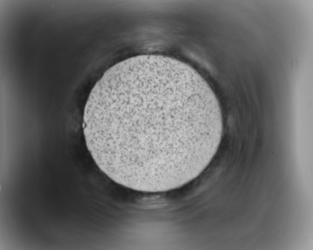 X0000089701447200707201731
