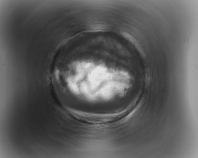 X0000089701449200707201731