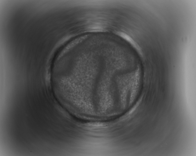 X0000089701450200707201731