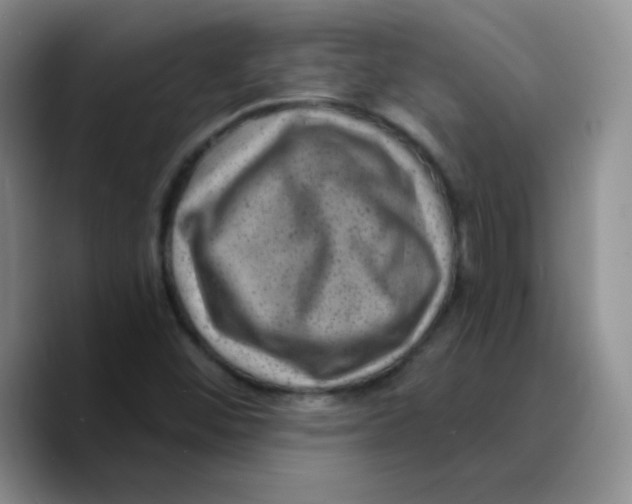 X0000089701452200707201731