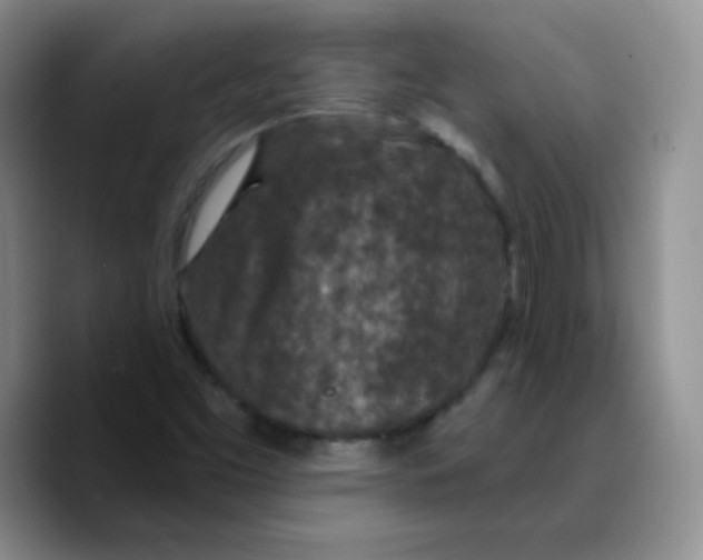 X0000089701453200707201731