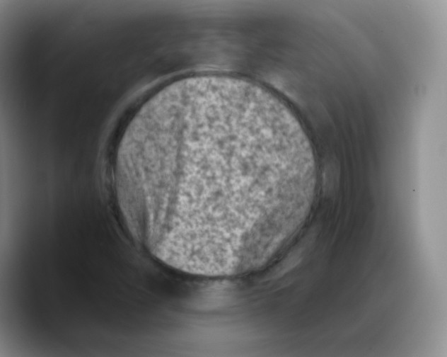 X0000089701454200707201731