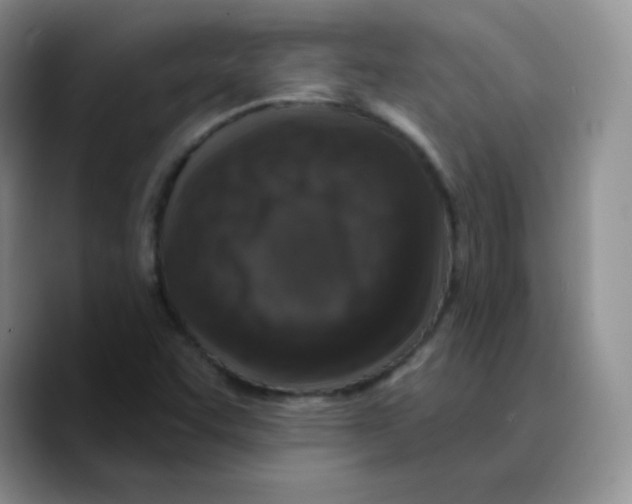 X0000089701455200707201731