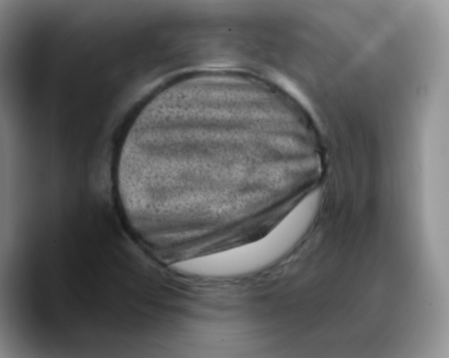 X0000089701456200707201731