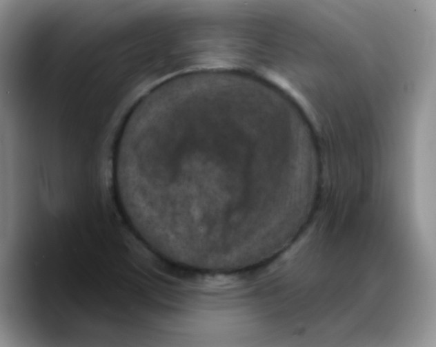 X0000089701459200707201730