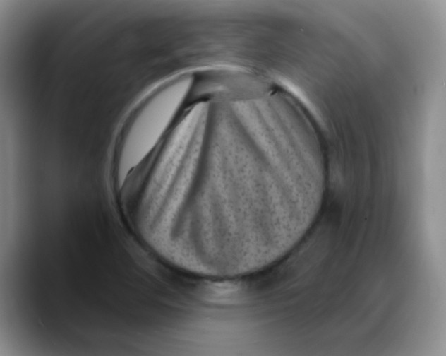 X0000089701460200707201730