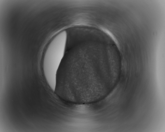 X0000089701461200707201730