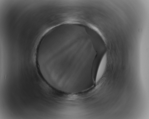 X0000089701463200707201730