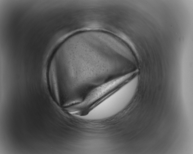 X0000089701464200707201730