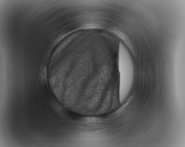 X0000089701465200707201730