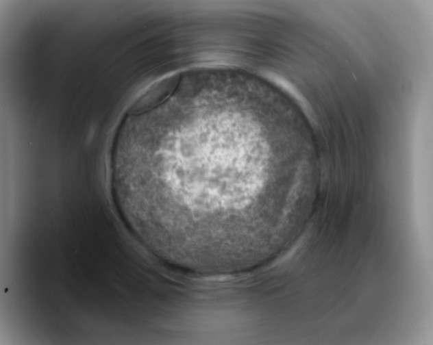 X0000089701467200707201730
