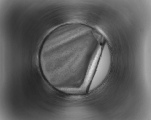 X0000089701468200707201730