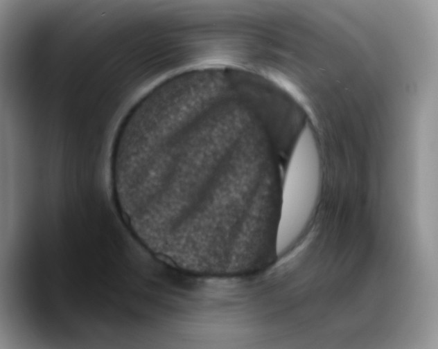 X0000089701469200707201730