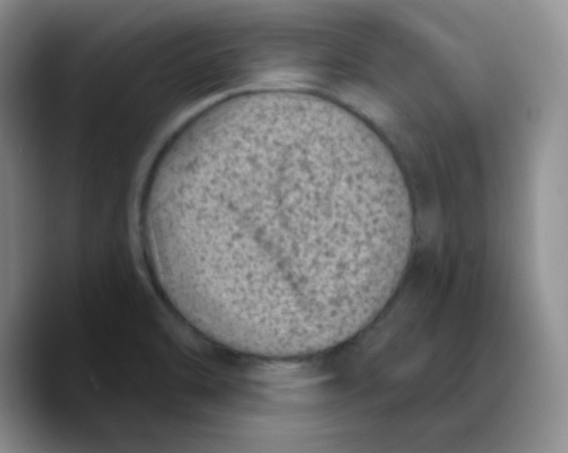 X0000089701470200707201730