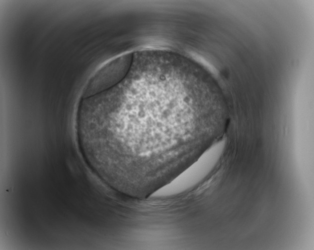 X0000089701471200707201730