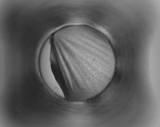 X0000089701472200707201730