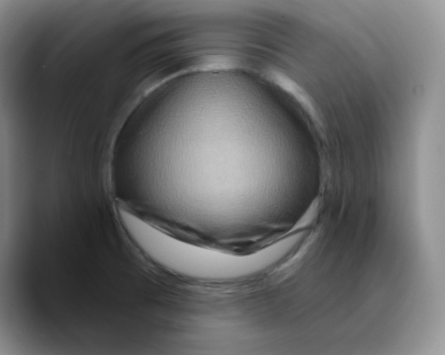 X0000089701473200707201730