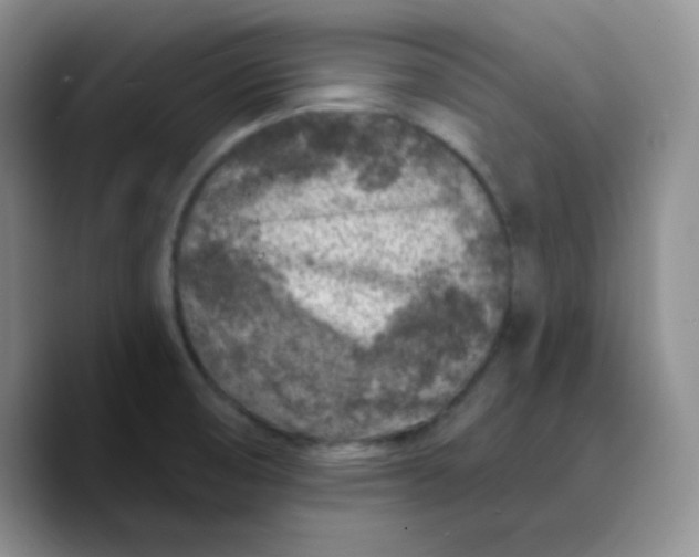 X0000089701474200707201730