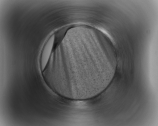 X0000089701476200707201730