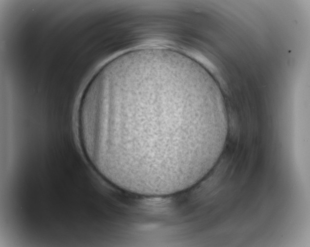 X0000089701478200707201730