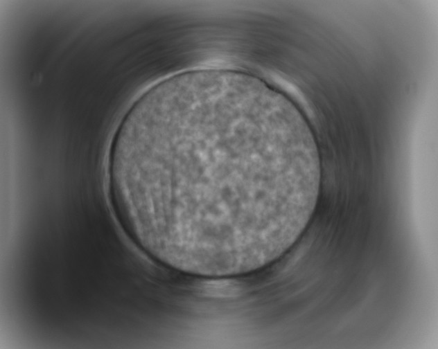 X0000089701479200707201730