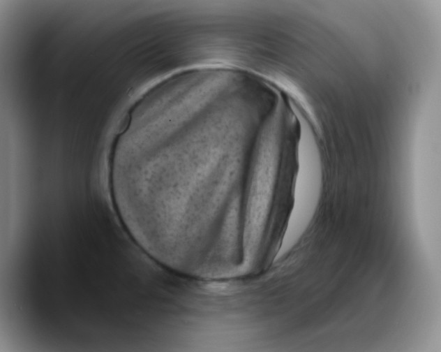 X0000089701480200707201730