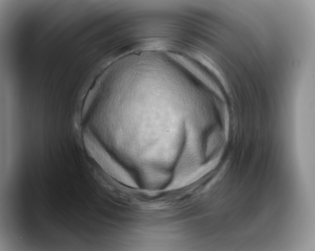 X0000089701481200707201730