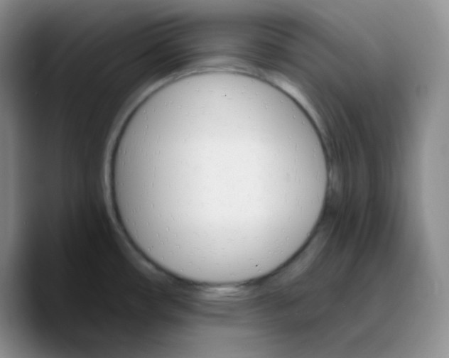 X0000089701482200707201730