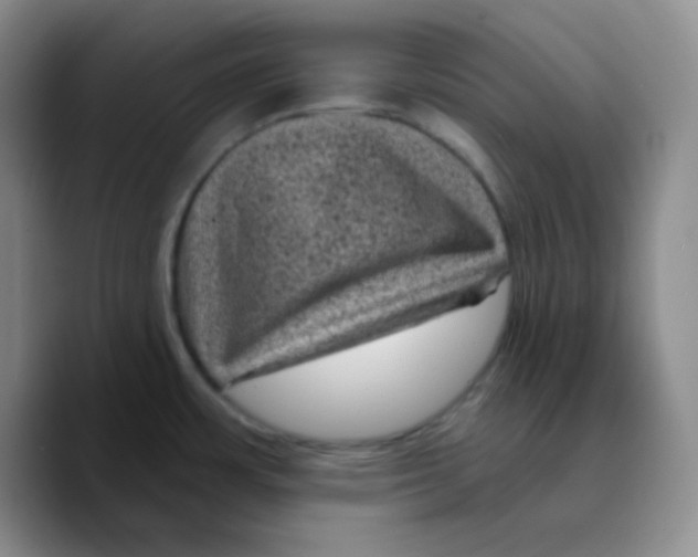 X0000089701483200707201730