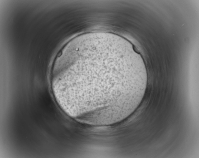 X0000089701486200707201730