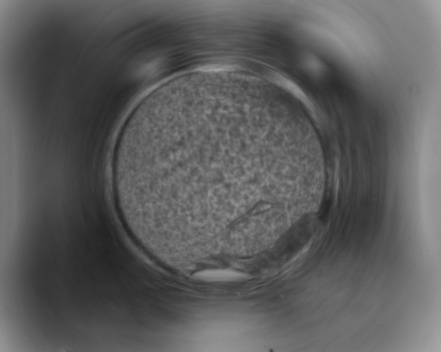 X0000089701487200707201730