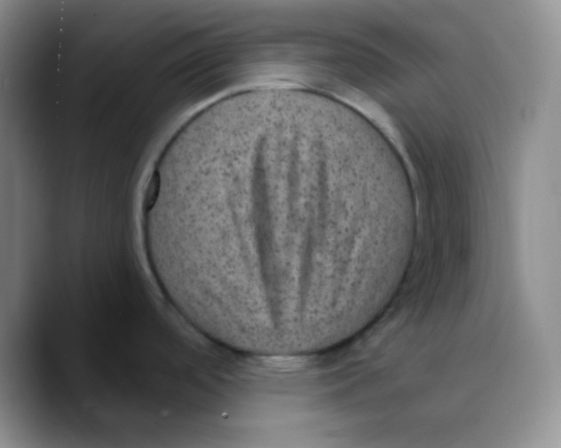 X0000089701488200707201730