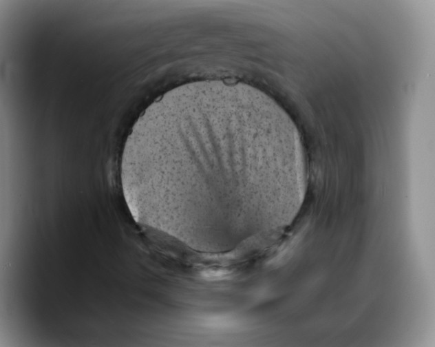 X0000089701490200707201729