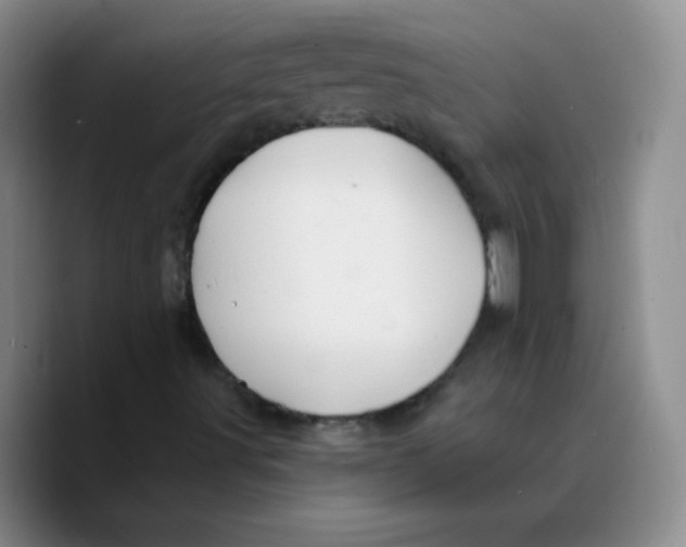 X0000089701491200707201729