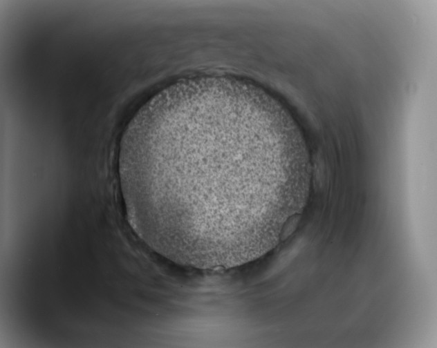 X0000089701494200707201730
