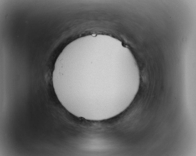 X0000089701495200707201730