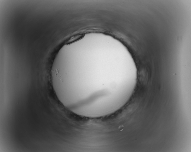 X0000089701496200707201730