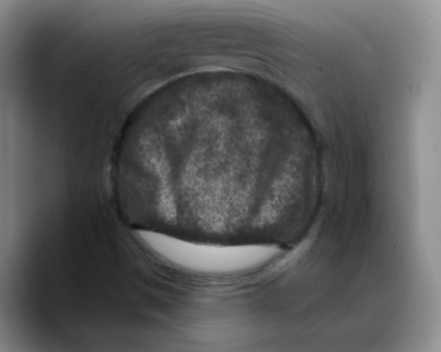 X0000089701497200707201730