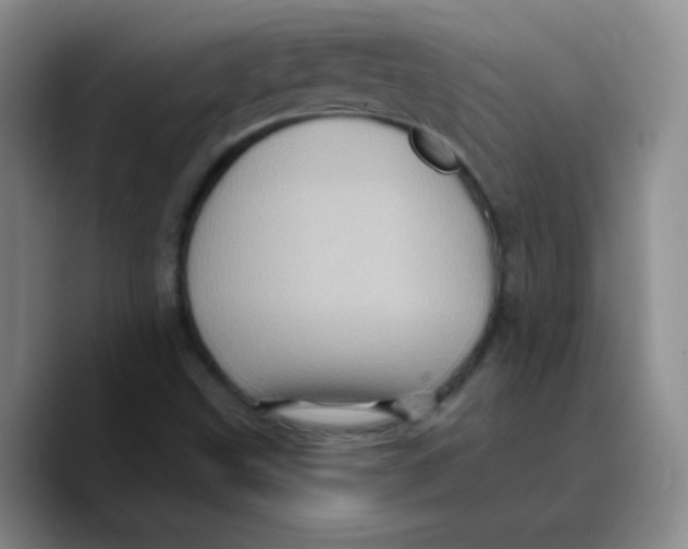 X0000089701499200707201730