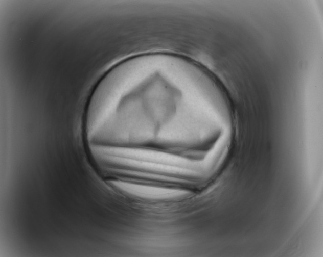 X0000089701500200707201730