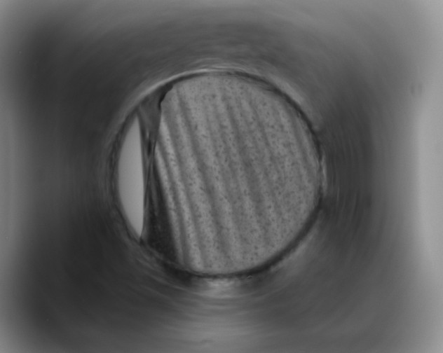 X0000089701501200707201730