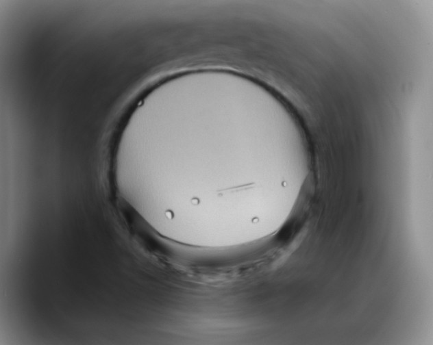 X0000089701502200707201730