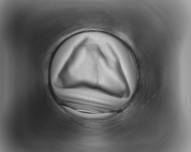 X0000089701504200707201730