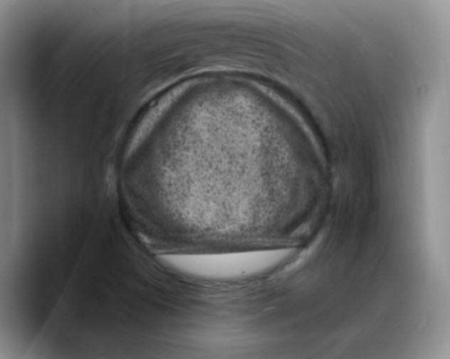 X0000089701505200707201730