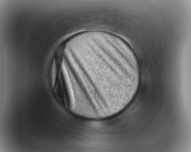 X0000089701507200707201730