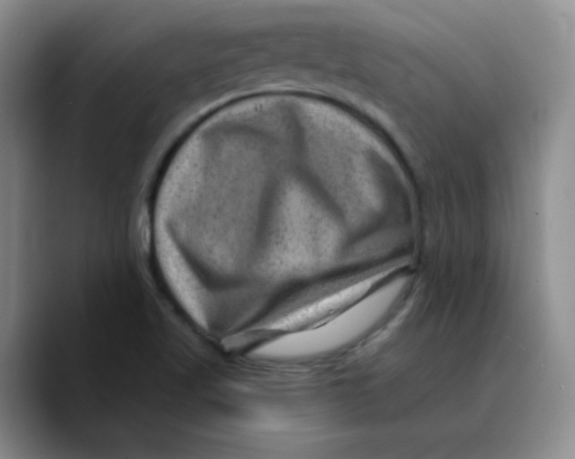 X0000089701509200707201730